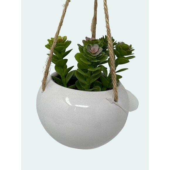 Plant Artificial Hanging Miniature Succulent Plant Faux Fake Ceramic Green White - Picture 2 of 6